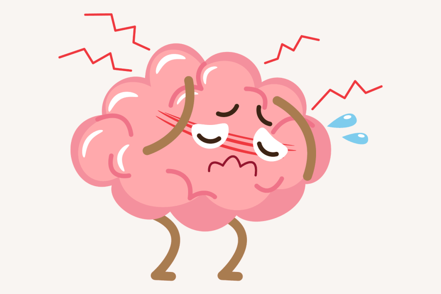 Resting brain is an active brain